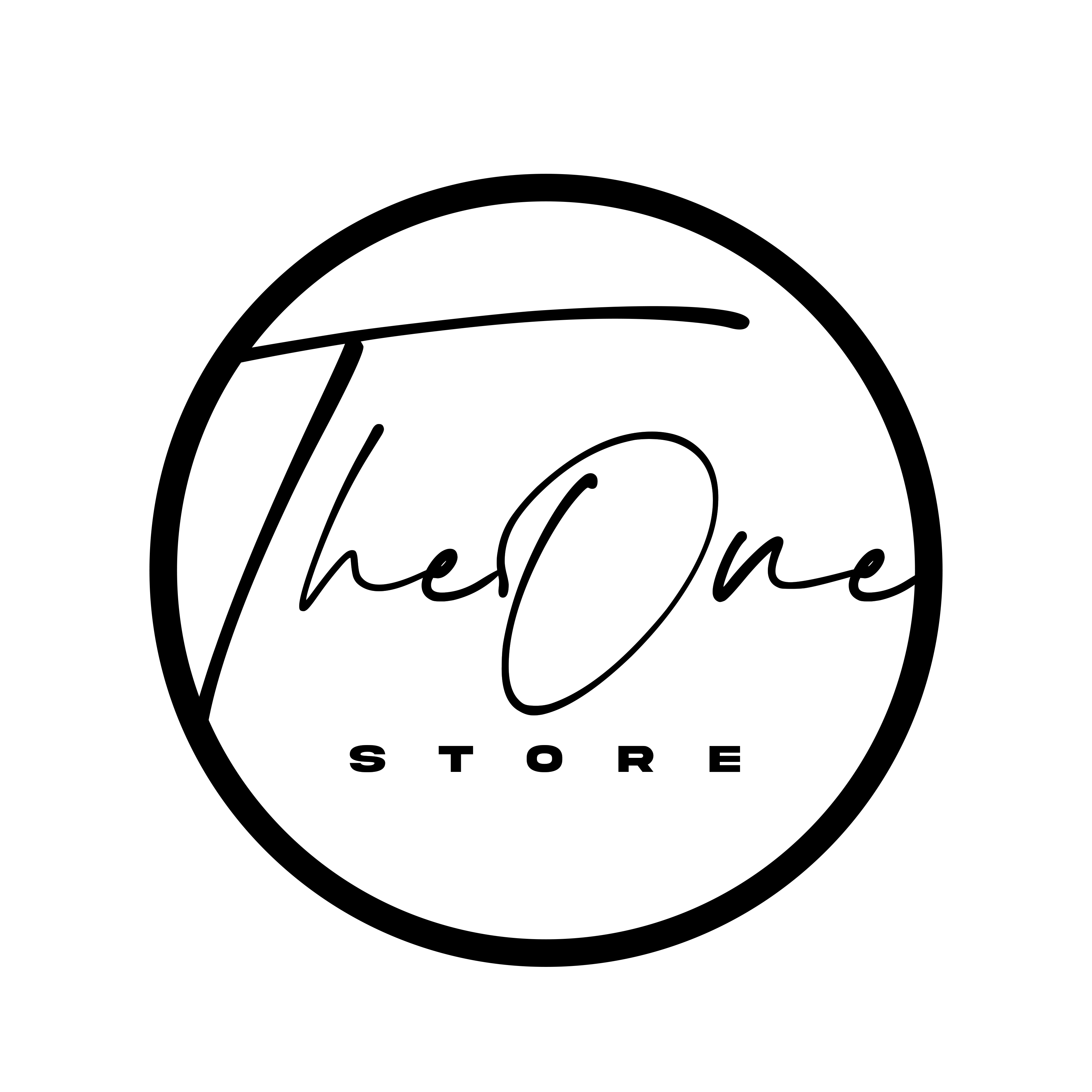 THE ONE STORE